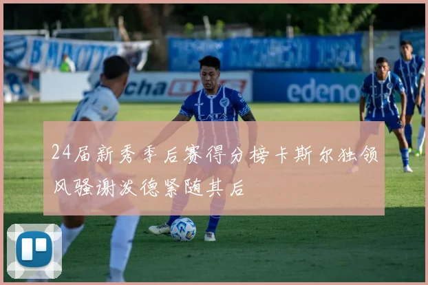 24届新秀季后赛得分榜卡斯尔独领风骚谢泼德紧随其后