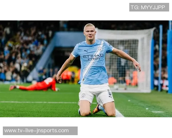 新世纪五大联赛球员连续进球纪录莱万14场领衔哈兰德范尼紧随其后 新世纪五大联赛球员连续进球纪录莱万14场领衔哈兰德范尼紧随其后