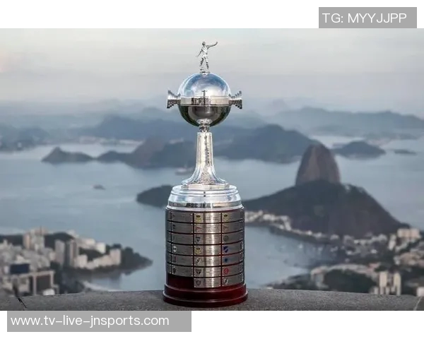 南美解放者杯决赛球队的巴西统治力近十年显著体现 南美解放者杯决赛球队的巴西统治力近十年显著体现